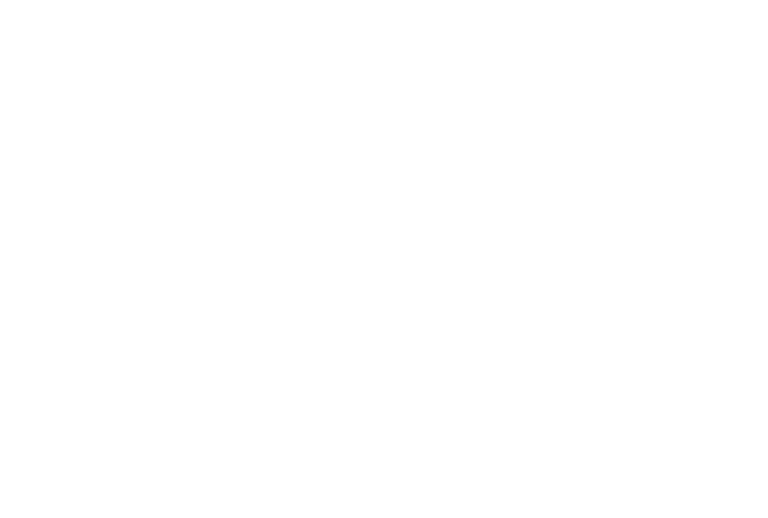 Logo TOYP Blanco sin año
